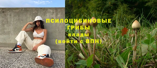 твердый Вязники