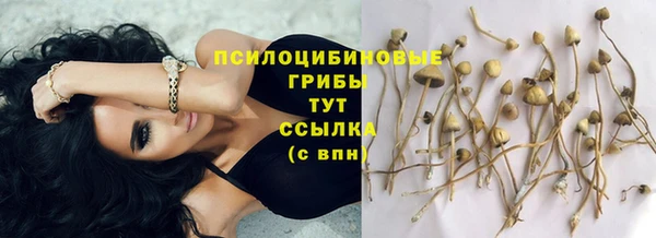 наркотики Вязьма