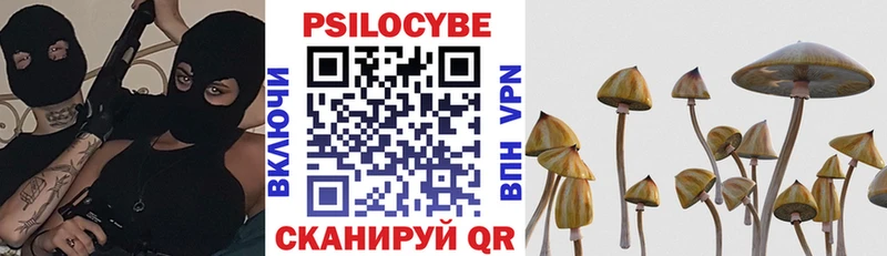Купить Арамиль Галлюциногенные грибы прущие грибы