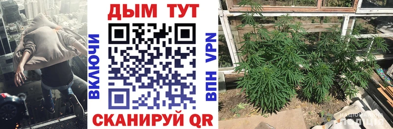 Купить  Арамиль  МАРИХУАНА гибрид 